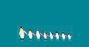 Single word searches bring you to the word page. The Eight Great Penguin Species Of Antarctica