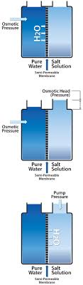The unit cost is 25 cents for 1 oz of cereal, because 4/16 = 1/4, convert to cents. What S The Difference Between Ro And Di Water Purification Reverse Osmosis Vs Deionized Water Labconco