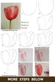 We did not find results for: How To Draw Tulips With Colored Pencils Easy Step By Step Drawing Tutorial How To Draw Step By Step Drawing Tutorials