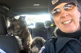 I C A R E N C L U S I O N