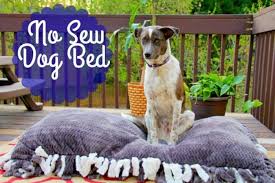 Wrap an elastic band around the corner about two to three inches in. 16 Diy Dog Bed Designs Custom Build A Bed For Your Pooch
