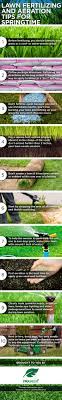 Spring Lawn Care Lawn Care Tips Overseeding Lawn