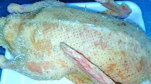شرح الجنه والنار بطريقه بسيطه هو هنا مش مركز ع جانب معين يشرح فيه بكل المعلومات تحس أن عامل زى من كل بستان زهره لأن كل جزء هنا محتاج كتاب لوحده. ØªØ­Ù…ÙŠÙ„ Ø·Ø±ÙŠÙ‚Ø© Ø¯Ø¨Ø­ Ø§Ù„Ø¨Ø· Ù„ÙˆØ­Ø¯Ùƒ ÙˆØªÙ†Ø¶ÙŠÙÙ‡ Ø¨ÙƒÙ„ Ø³Ù‡ÙˆÙ„Ø© Ø­ØªÙ‰ Ù„Ùˆ ÙÙŠÙ‡ Ø±ÙŠØ´ ØµØºÙŠØ± Ù‡ÙŠØ®ØªÙÙ‰