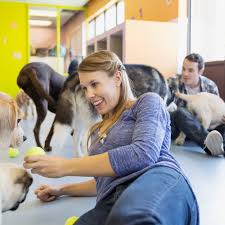 Why loving families choose pet wellbeing: What To Know Before You Open A Pet Store