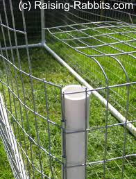Building a wire mesh rabbit run. Rabbit Run How To Build An Outdoor Rabbit Pen Or Run With Pvc