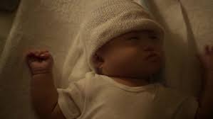 Recap Of Shameless Us Season 2 Recap Guide