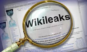 Image result for wikileaks