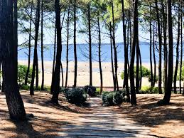 Loue villa dans les pins à 5mn à pied de la plage Pereire - 14 couchages  sur Gens de Confiance