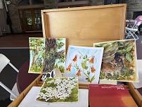 Watercolor in the Garden