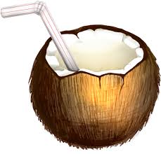 Check spelling or type a new query. Transparent Png Coconut Drink Clipart Full Size Clipart 5278597 Pinclipart