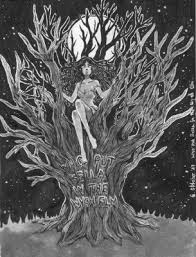 The crime scene revisited examines the early attempts to solve the mystery as well as some of the more sensational theories to arrive long after the case had grown stale. The Skull Of Wych Elm The Witch Elm Diaries