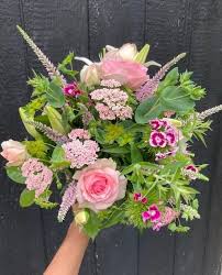 See more ideas about portland maine, maine, portland. Backyard Blooms