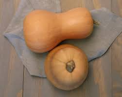 Das 1x1 Der Kurbissorten Von Butternut Bis Sweet Dumpling