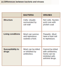 Pin On Health