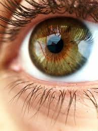 Bound By The Darkness In 2021 Eye Close Up Beautiful Eyes Color Hazle Eyes