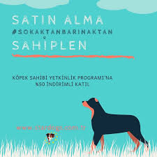 Kopek Sahibi Yetkinlik Programi Sokaktanbarinaktan Kampanyasi Stardogs Kopek Okuma Egitim