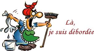 R&eacute;sultat de recherche d'images pour "image humoristique grenouille lessive"