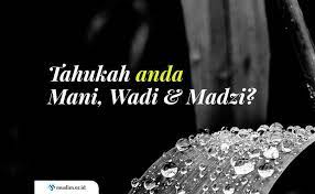 Check spelling or type a new query. Mengenal Mani Wadi Dan Madzi Beserta Hukumnya Masing Masing