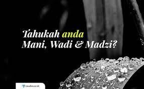 Keluarnya madzi dialami kaum wanita dan kaum pria. Mengenal Mani Wadi Dan Madzi Beserta Hukumnya Masing Masing
