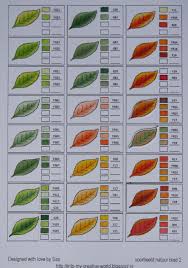 Copic Color Blends For Leaves Copic Copic Color Chart