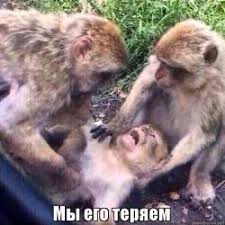 images?q=tbn:ANd9GcQV7cGmEWShykXWLa33WdB