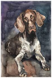 Pin On Gun Dogs