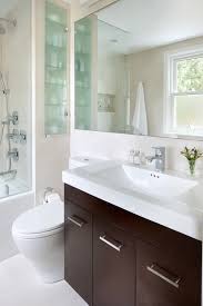 So you can still live out your retro or boho bathroom design dreams even if you have a small space. Small Space Bathroom Contemporary Bathroom Toronto By Toronto Interior Design Group Houzz