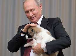 You were right to be cautious, yume is a strict dog. Here Are Some Uncomfortable Photos Of Putin Trying To Hold A Puppy