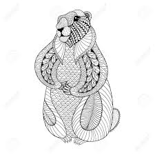 With this compilation of punxsutawney phil's forecasts, you can find out. Hand Drawn Groundhog For Adult Coloring Pages In Doodle Zentangle Tribal Style Groundhog Day Ethnic Ornamental Tattoo Patterned T Shirt Or Prints Animal Vector Illustration Royalty Free Cliparts Vectors And Stock Illustration Image