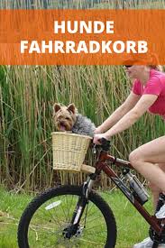 Hundekorb Fur Fahrrad Praxistest Und Empfehlungen Hundefahrradkorb Hund Fahrrad Hundekorb Hunde