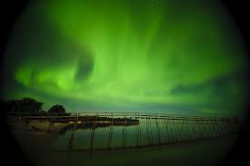Pin Pa Aurora Borealis And Aurora Australis