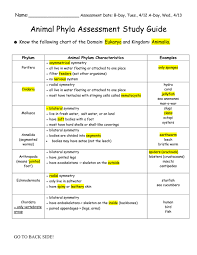 Image result for Phyla