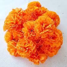 When they are fresh most of the flowers in the cluster open, the flower is sturdy and firm to the touch. Amazon Com Marigold Flower Heads Bulk 30pcs Silk Artificial Flowers For Diy Wedding Party Deor 5cm Orange Home Kitchen