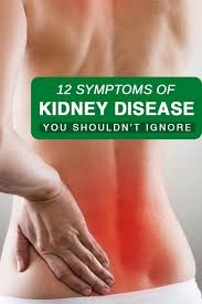 Pin On Kidney Disease