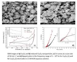 Xem phim gong shim đáng yêu trọn bộ thuyết minh vietsub. Energies Free Full Text Improvement Of The Pseudocapacitive Performance Of Cobalt Oxide Based Electrodes For Electrochemical Capacitors Html