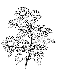 This daisy mandala is a quick color. Daisy Coloring Pages Best Coloring Pages For Kids