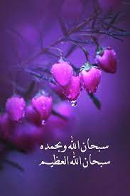 سبحان الله وبحمده سبحان الله العظيم beautiful islamic quotes islamic quotes quran islamic love quotes