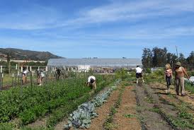 A deserted hodgepodge of experimental structures designed by nearby university students. San Luis Obispo S City Farm Preserves Fertile Farmland And A Signature Landscape Kcbx