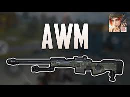Awm Rules Of Survival In Depth Guide Damage Stats More