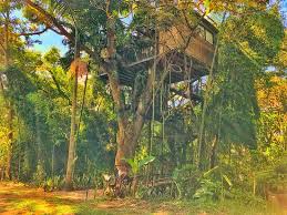 Ver las 34 entradas y visitas. Casa En El Arbol Glamping El Nido Esta En Medio De La Naturaleza Y Arboles Cuenta Con Turco Jacuzzi Climatizado Y Todas Las Comodidades De Un Hotel Premium Picture Of Botanico