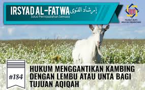 Pejabat Mufti Wilayah Persekutuan Irsyad Al Fatwa Ke 184 Hukum Menggantikan Kambing Dengan Lembu Atau Unta Bagi Tujuan Aqiqah