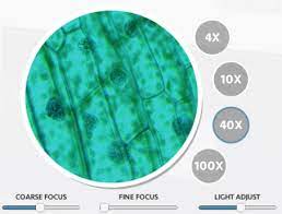If a microscope has a 10x ocular value and a 40x objective value, you would find the total since objects viewed under the microscope are very small, the micrometer is used in making such measurements. Virtual Microscope