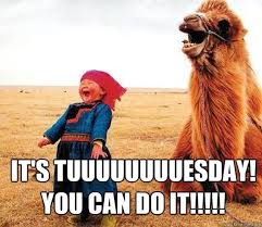 It can be a day where we focus on will ferrell, the funny book funny quotes. Funny Tuesday Quotes Tuesday Quote Memes Fit For Fun