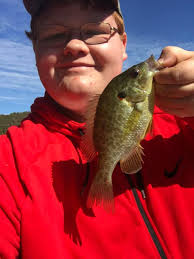 Nice shell cracker panfish, pond