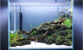 Check spelling or type a new query. Choosing Your Substrate Combining Several Varieties