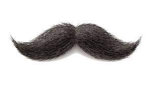 نتيجة بحث الصور عن Real Mustache Png Corpo Humano Arte Do Corpo Humano Mascara