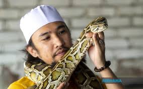 .ular tedung,ular anang,ular lanang (jawa),dan oray totog (sunda) , king cobra/ular kobra adalah original posted by keretasenja08► ular tedung atau king cobra pernah melintas di depan rumah. Bernama Minat Pada Reptilia Penghantar Makanan Jadikan Rumah Zoo Ular