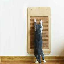 Your cat's odd scratching behavior may be his way of telling you. Amazon Com Mouogo Wall Mounted Scratching Post Place Floor Or Wall Mounted Durable Sisal Board Scratcher For Cats Health And Good Behavior Wall Cat Scratcher Scratching Board For Cats Pet Supplies