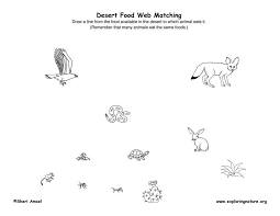 Pin By Tricia Stohr Hunt On Food Chains Webs Food Web Science Teaching Resources Food Chain