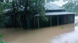 ময়মনসিংহের হালুয়াঘাটে দুটি ইউনিয়নে পাহাড়ি ঢলে নিম্নাঞ্চল প্লাবিত